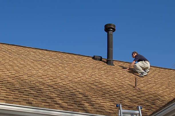 Best Roof Maintenance and Cleaning  in Rockford, IL